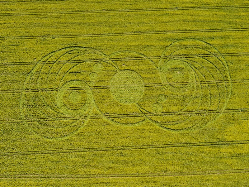 14-Stonehenge-Wiltshire-9th-May-2010-Oilseed-Rape-OH2